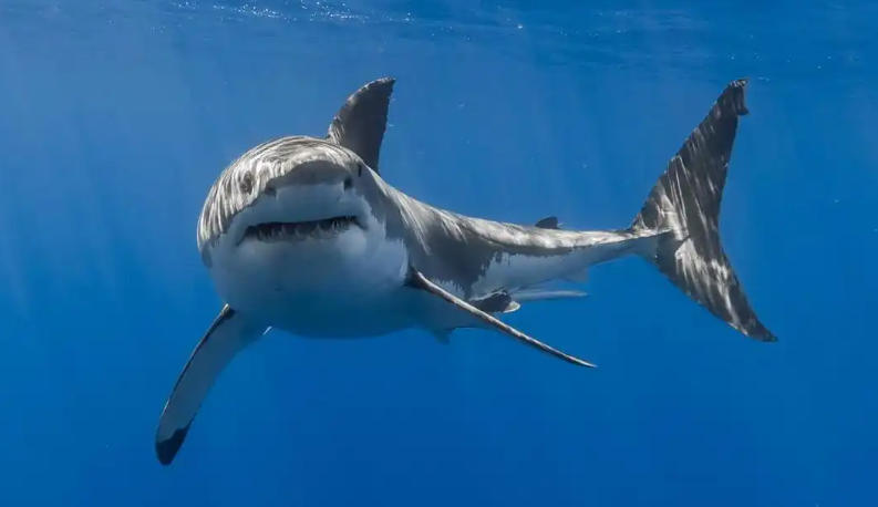 上海泽宇智能科技有限公司轮播图2